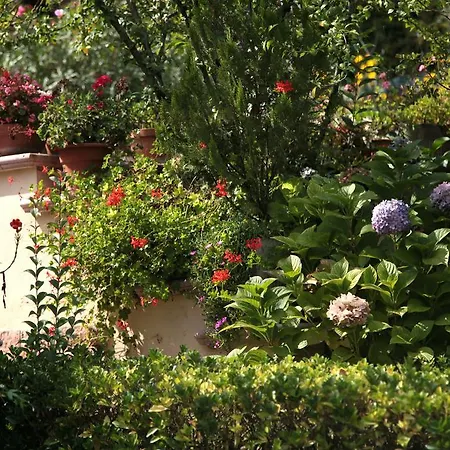 Casa Del Girasole Bed and breakfast