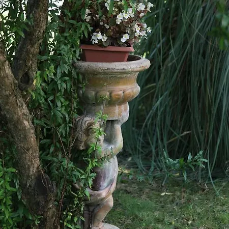 Bed & Breakfast Casa Del Girasole Genazzano
